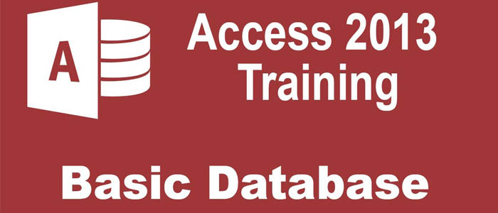 Microsoft Access Image